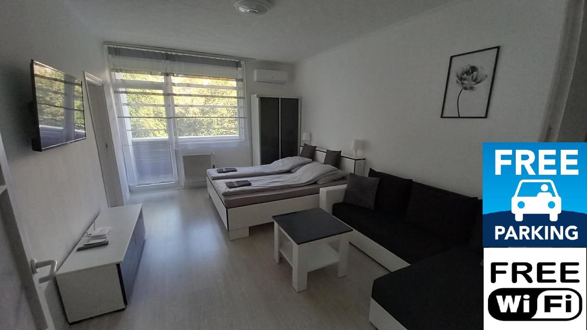 Grey Harmony * Debrecen
